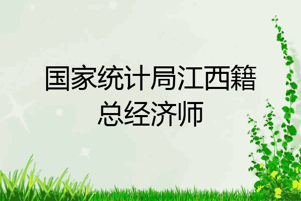 国家统计局江西籍总经济师