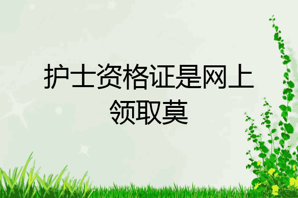 护士资格证是网上领取莫