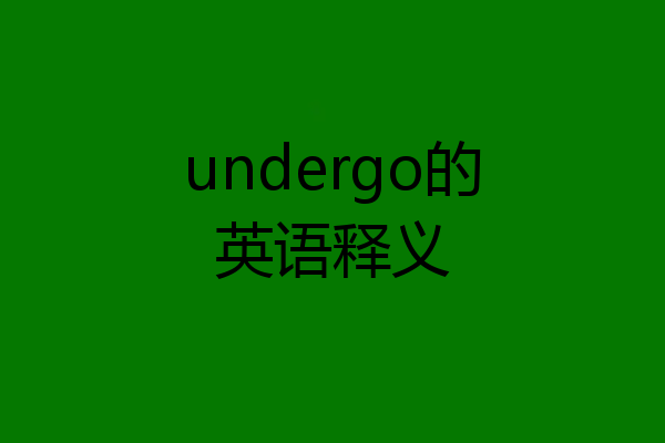 undergo的英语释义