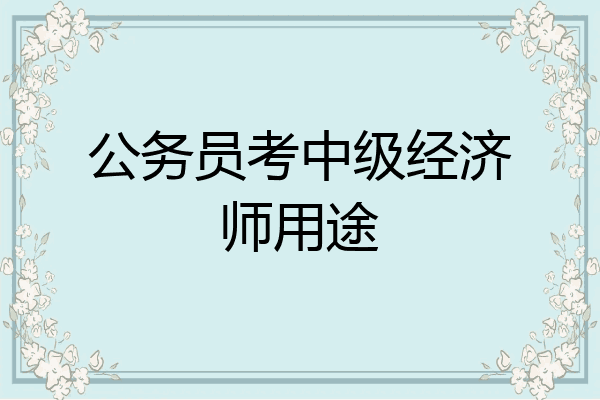 公务员考中级经济师用途