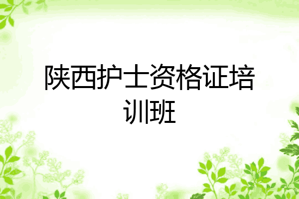 陕西护士资格证培训班
