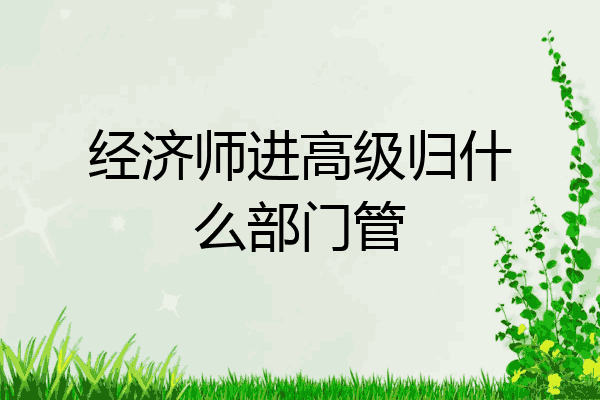 经济师进高级归什么部门管