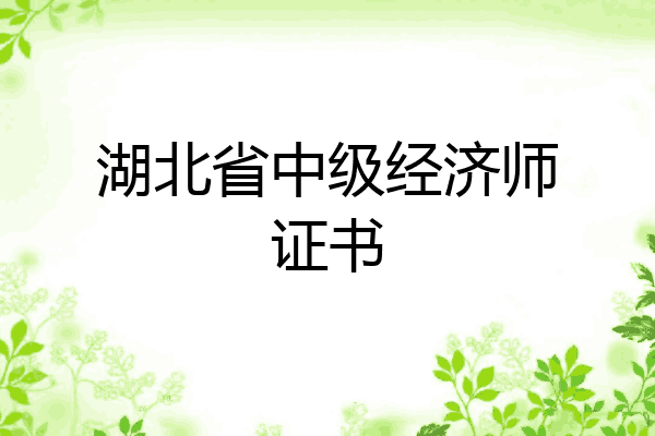 湖北省中级经济师证书