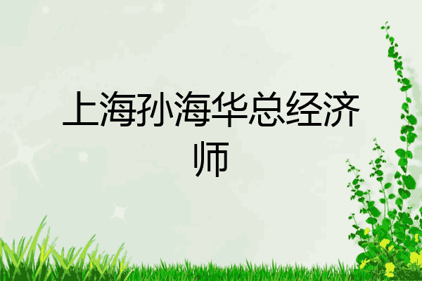 上海孙海华总经济师