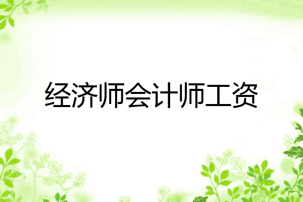 经济师会计师工资