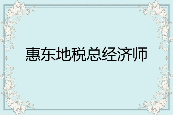 惠东地税总经济师