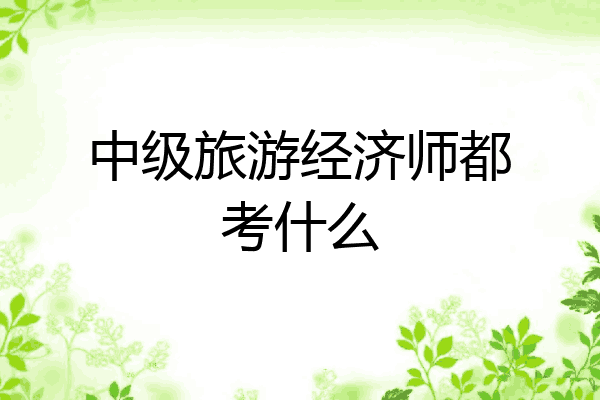 中级旅游经济师都考什么