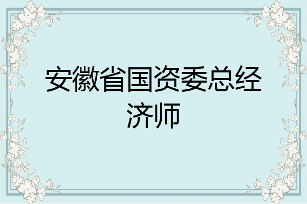 安徽省国资委总经济师