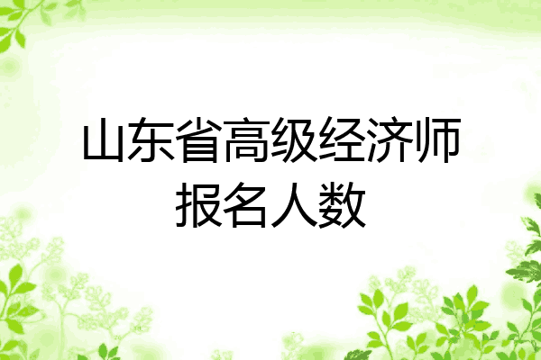 山东省高级经济师报名人数