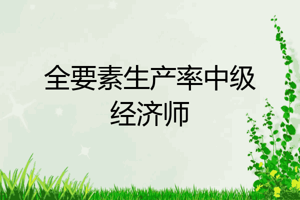 全要素生产率中级经济师