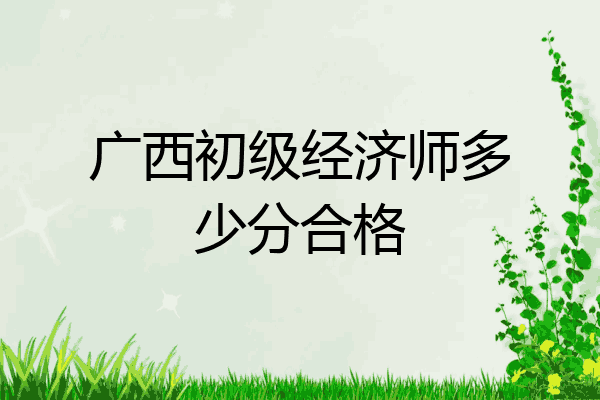广西初级经济师多少分合格