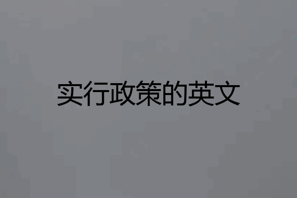 实行政策的英文
