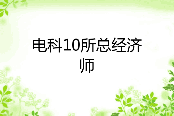 电科10所总经济师