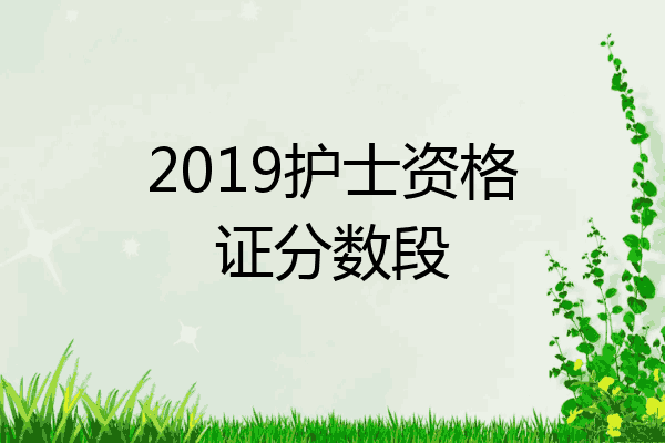2019护士资格证分数段