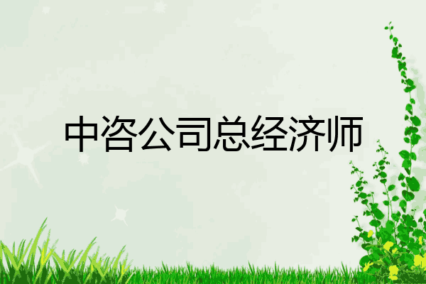 中咨公司总经济师
