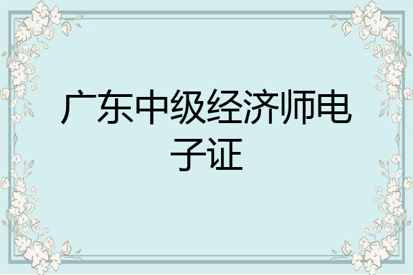 广东中级经济师电子证