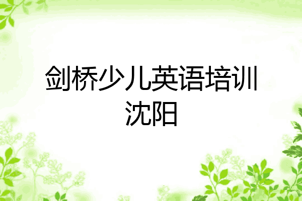 剑桥少儿英语培训沈阳