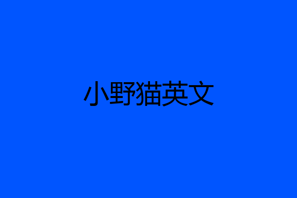 小野猫英文