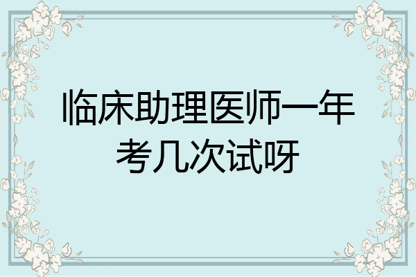 临床助理医师一年考几次试呀