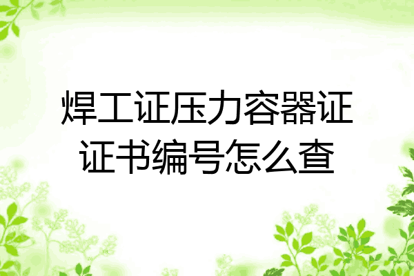 焊工证压力容器证证书编号怎么查