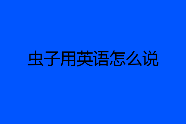 虫子用英语怎么说