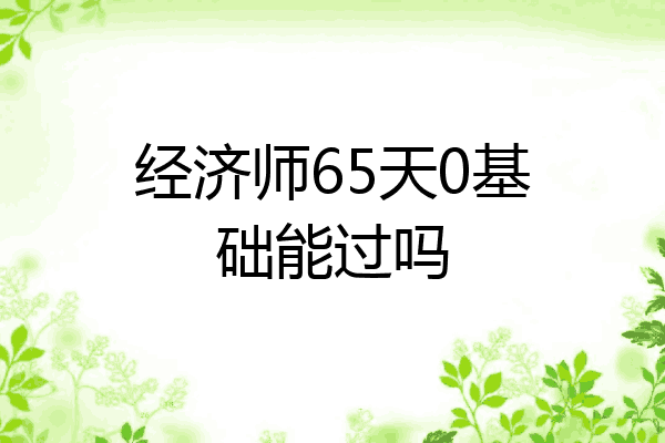 经济师65天0基础能过吗