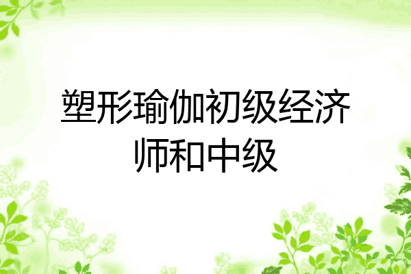 塑形瑜伽初级经济师和中级