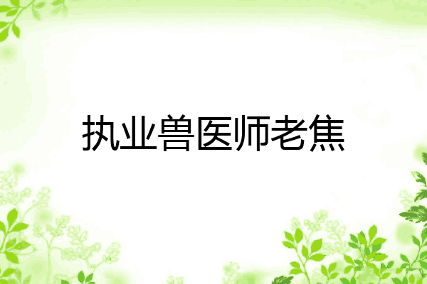 执业兽医师老焦