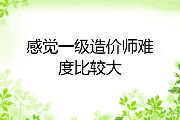感觉一级造价师难度比较大