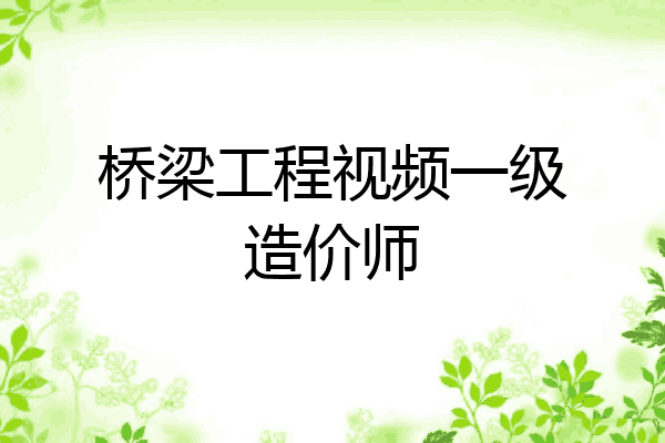 桥梁工程视频一级造价师