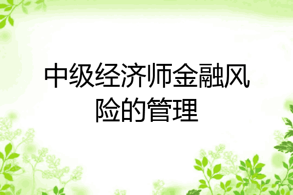 中级经济师金融风险的管理
