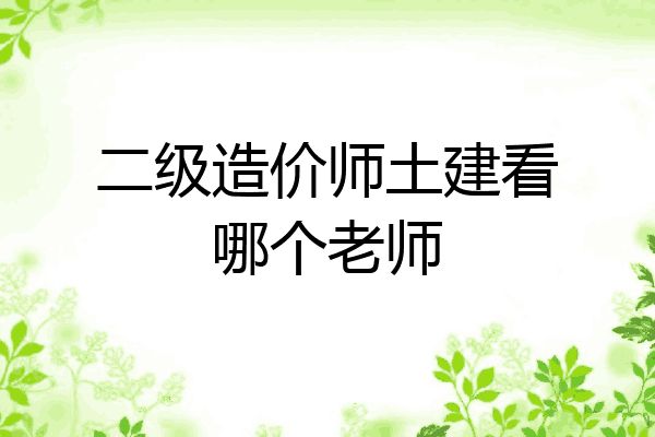 二级造价师土建看哪个老师