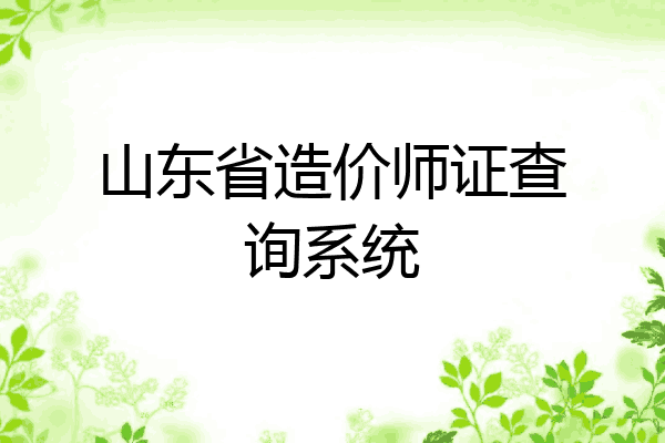 山东省造价师证查询系统