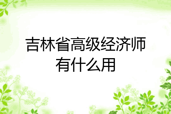 吉林省高级经济师有什么用