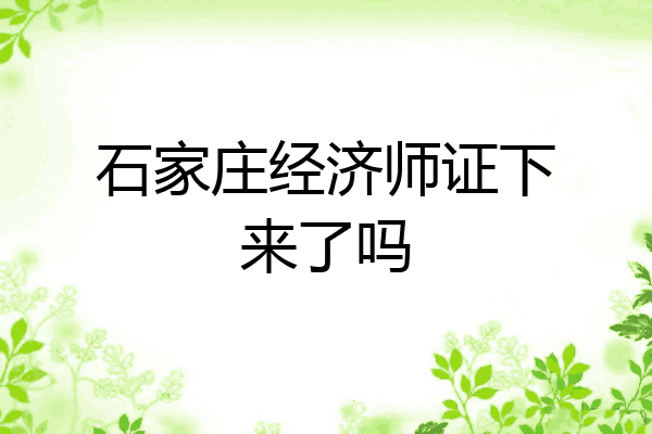 石家庄经济师证下来了吗