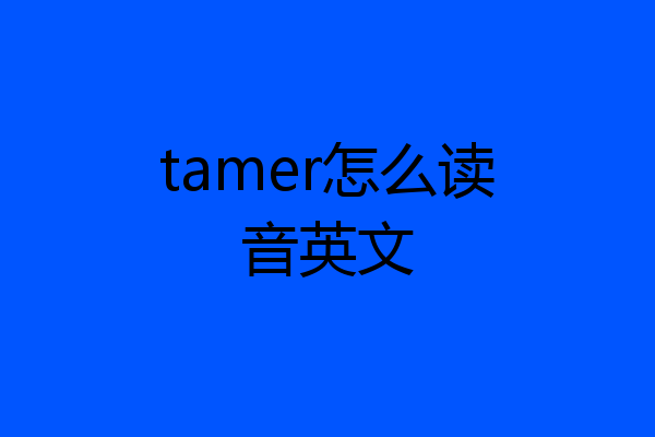 tamer怎么读音英文