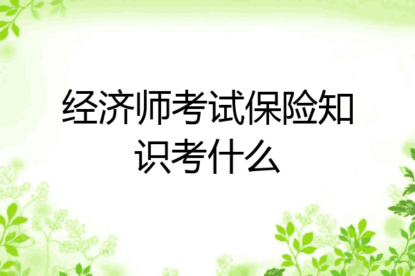 经济师考试保险知识考什么