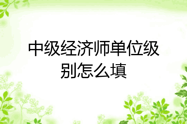 中级经济师单位级别怎么填