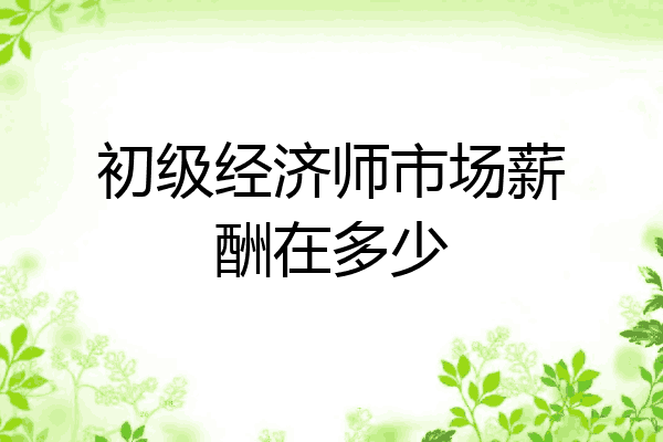 初级经济师市场薪酬在多少