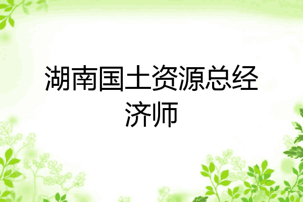 湖南国土资源总经济师