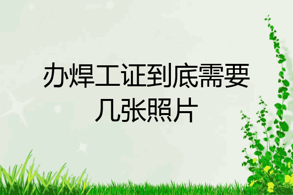 办焊工证到底需要几张照片