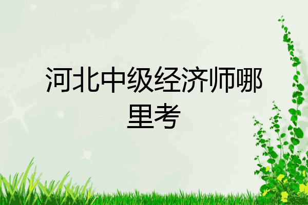 河北中级经济师哪里考