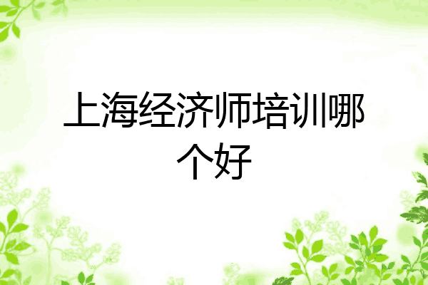 上海经济师培训哪个好
