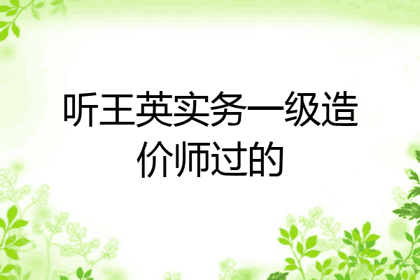听王英实务一级造价师过的