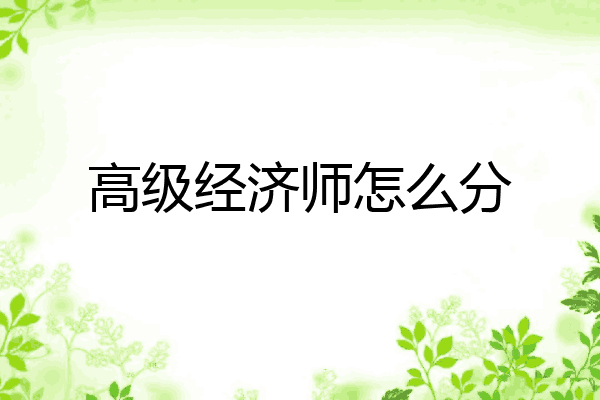 高级经济师怎么分