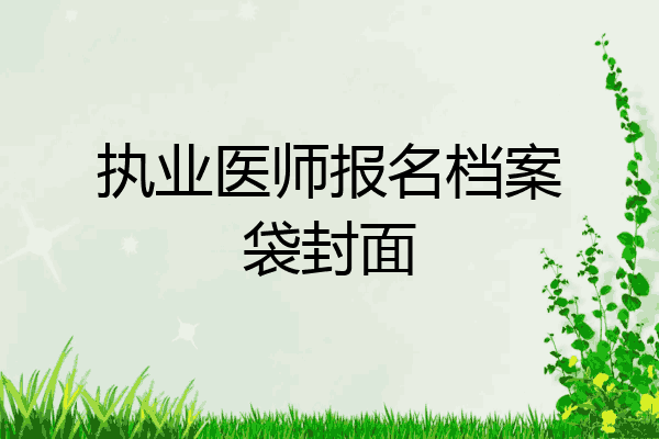 执业医师报名档案袋封面