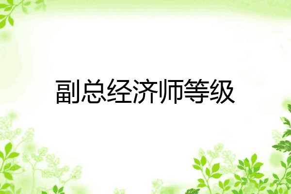 副总经济师等级