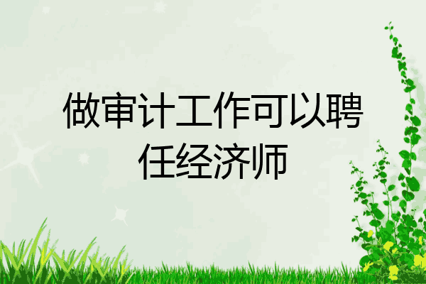 做审计工作可以聘任经济师