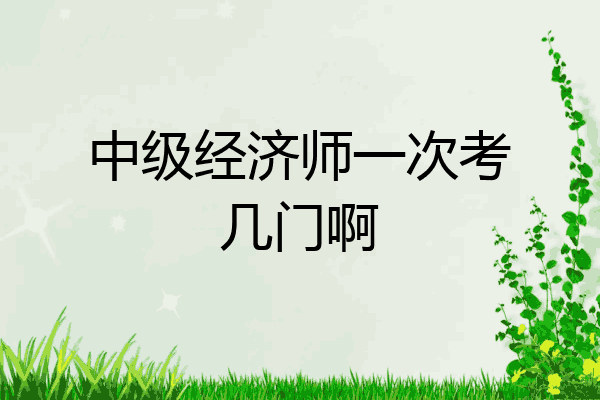 中级经济师一次考几门啊