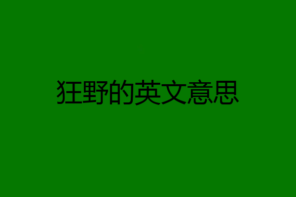 狂野的英文意思